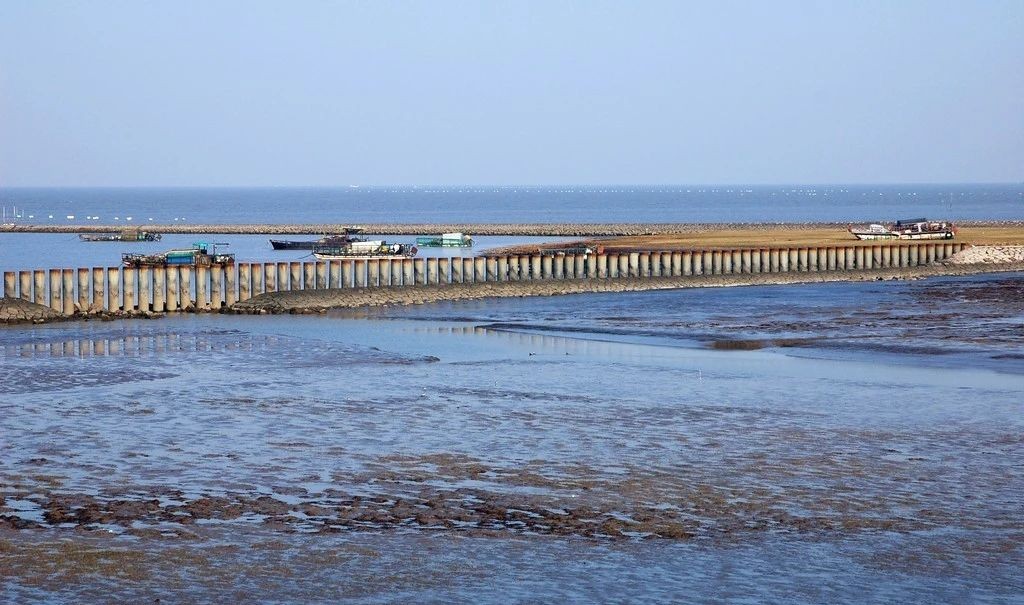 助力全國首個零碳島建設(shè)